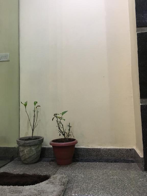 Hotel Vintage Inn Νέο Δελχί Εξωτερικό φωτογραφία